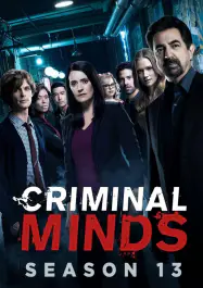 Esprits criminels Saison 13 en streaming