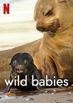 Wild Babies : Petits et Sauvages