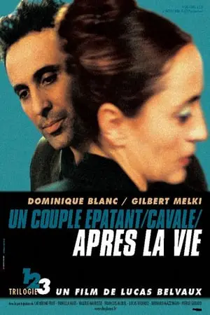 Regarder Après la vie en Streaming Gratuit Complet VF VOSTFR HD 720p