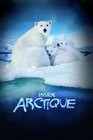 Regarder Arctique en Streaming Gratuit Complet VF VOSTFR HD 720p