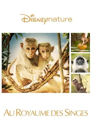 Regarder Au Royaume des singes en Streaming Gratuit Complet VF VOSTFR HD 720p