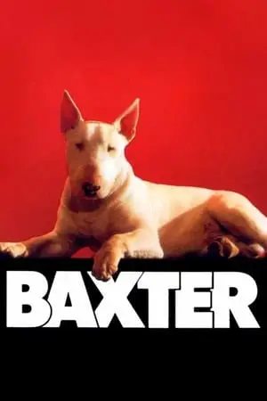 Regarder Baxter en Streaming Gratuit Complet VF VOSTFR HD 720p