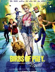 Regarder Birds of Prey et la fantabuleuse histoire de Harley Quinn en Streaming Gratuit Complet VF VOSTFR HD 720p