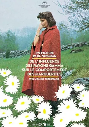 De l'influence des rayons gamma sur le comportement des marguerites