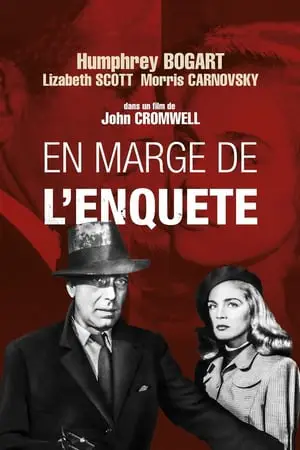 Regarder En marge de l'enquête en Streaming Gratuit Complet VF VOSTFR HD 720p