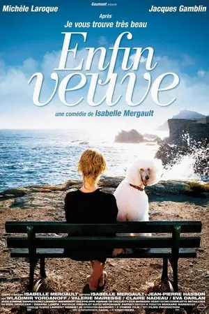 Regarder Enfin veuve en Streaming Gratuit Complet VF VOSTFR HD 720p