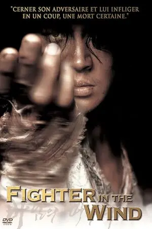 Regarder Fighter in the Wind en Streaming Gratuit Complet VF VOSTFR HD 720p