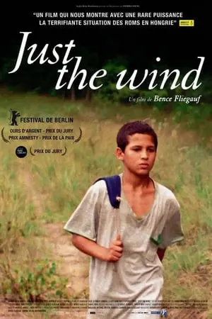 Regarder Just the wind en Streaming Gratuit Complet VF VOSTFR HD 720p