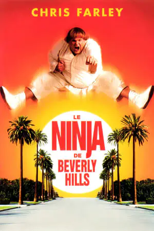 Regarder Le Ninja de Beverly Hills en Streaming Gratuit Complet VF VOSTFR HD 720p