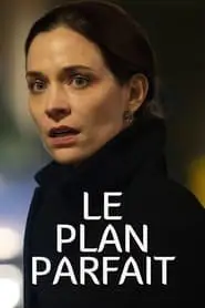 Regarder Le Plan Parfait en Streaming Gratuit Complet VF VOSTFR HD 720p