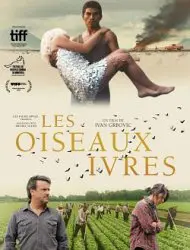 Les oiseaux ivres