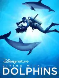 Regarder Plongée dans le Monde des Dauphins en Streaming Gratuit Complet VF VOSTFR HD 720p