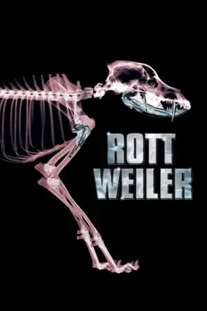 Regarder Rottweiler en Streaming Gratuit Complet VF VOSTFR HD 720p