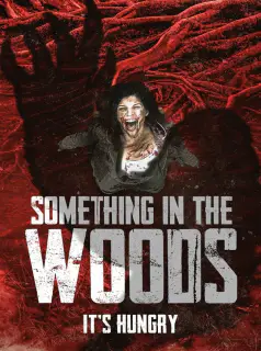 Regarder Something in the Woods en Streaming Gratuit Complet VF VOSTFR HD 720p