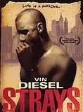 Regarder Strays en Streaming Gratuit Complet VF VOSTFR HD 720p