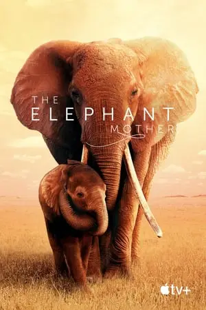 Regarder The Elephant Mother en Streaming Gratuit Complet VF VOSTFR HD 720p