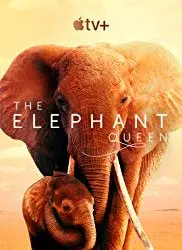 Regarder The Elephant Queen en Streaming Gratuit Complet VF VOSTFR HD 720p