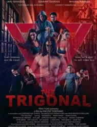 Regarder The Trigonal: Fight for Justice en Streaming Gratuit Complet VF VOSTFR HD 720p