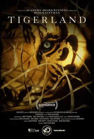 Regarder Tigerland : le dernier espoir du tigre en Streaming Gratuit Complet VF VOSTFR HD 720p