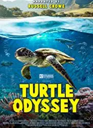 Regarder Turtle Odyssey en Streaming Gratuit Complet VF VOSTFR HD 720p