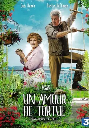 Regarder Un amour de tortue en Streaming Gratuit Complet VF VOSTFR HD 720p