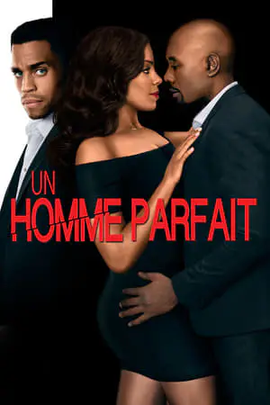 Regarder Un homme parfait en Streaming Gratuit Complet VF VOSTFR HD 720p