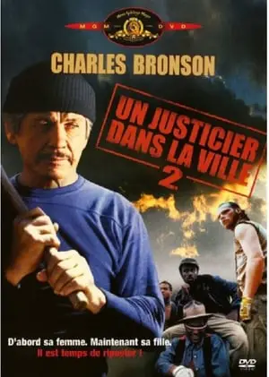 Un justicier dans la ville 2