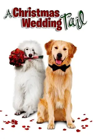 Regarder Un mariage en cadeau en Streaming Gratuit Complet VF VOSTFR HD 720p