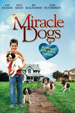 Regarder Un miracle à 19 pattes en Streaming Gratuit Complet VF VOSTFR HD 720p